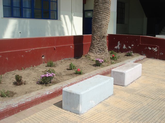 Παρτέρι με λουλλούδια μπροστά από τις αίθουσες