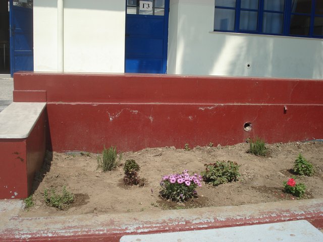 Παρτέρι με λουλλούδια μπροστά από τις αίθουσες